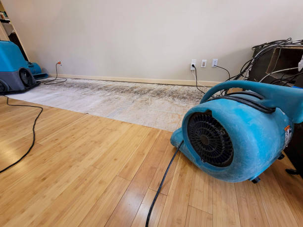 Professional Water Damage Repair technician working in Tahuya, WA